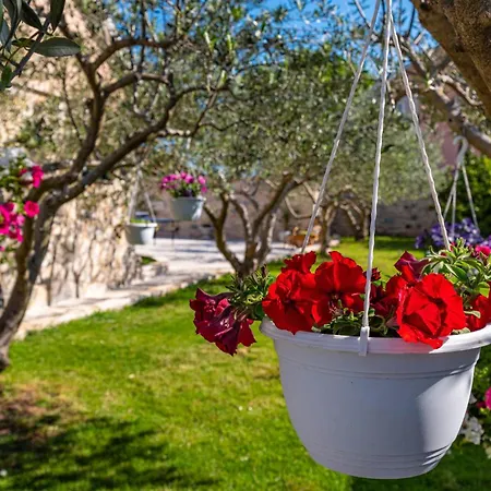 Beautiful In Holiday home *